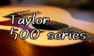Taylor500シリーズの特徴やスペックの違いとおすすめ